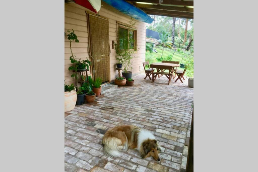 Lower Mountains Retreat Warrimoo Extérieur photo